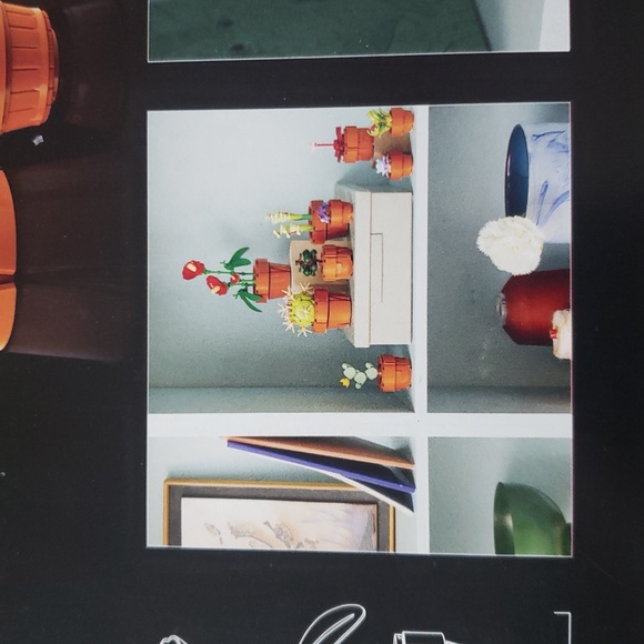 LEGO Icons Tiny Plants Building Set for Flower-Lovers - Picture 11 of 16